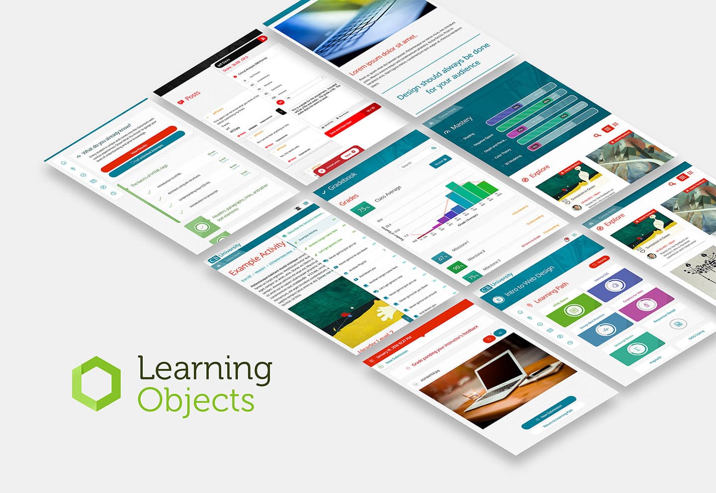 Learning Objects (acquired by Cengage Learning) — Director, Product Management